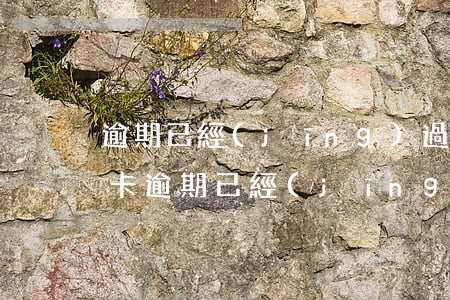 逾期已經(jīng)過兩年了能辦理信用卡(逾期已經(jīng)過兩年了能辦理信用卡嗎)