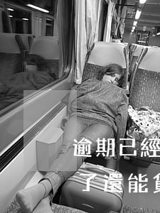 逾期已經(jīng)還了可以房貸嗎(逾期了還能貸款買房子嗎)