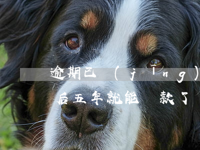 逾期已經(jīng)還款5年了(逾期還款后五年就能貸款了嗎)