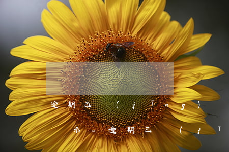 逾期已經(jīng)還清一年了征信還是顯示-逾期已經(jīng)還清一年了征信還是顯示欠款