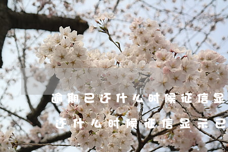 逾期已还什么时候征信显示已还清-逾期已还什么时候征信显示已还清呢