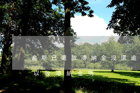逾期已還款滯納金沒還(逾期不繳納違約金 可以收滯納金嗎)