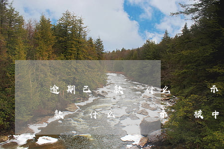 逾期已還款為什么還顯示審核中-逾期已還款為什么還顯示審核中呢