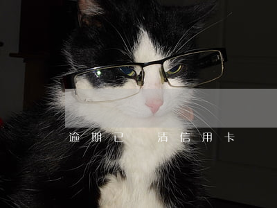 逾期已還清信用卡銷戶