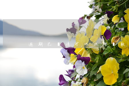 逾期已還清可以抵押貸款(抵押逾期怎么處理)