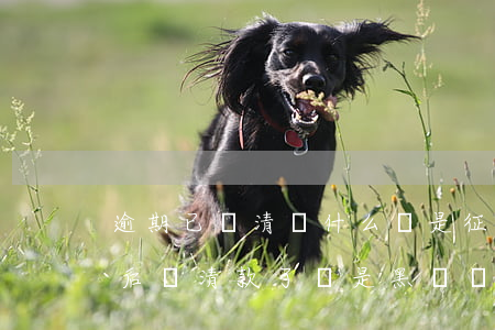 逾期已還清為什么還是征信黑名單-逾期以后還清款了還是黑戶嗎