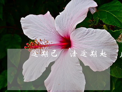 逾期已還清（逾期起訴后付清）