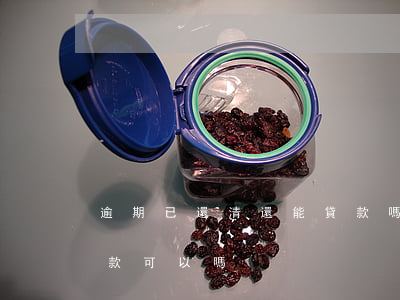 逾期已還清還能貸款嗎(逾期貸款還清了,再貸款可以嗎?)
