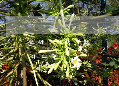 逾期帶貸款有影響嗎(貸款有逾期會怎么樣 有什么影響?)