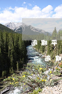 逾期平臺(tái)可以在電話錄音取證嗎-逾期平臺(tái)可以在電話錄音取證嗎安全嗎