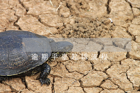 逾期平臺起訴流程
