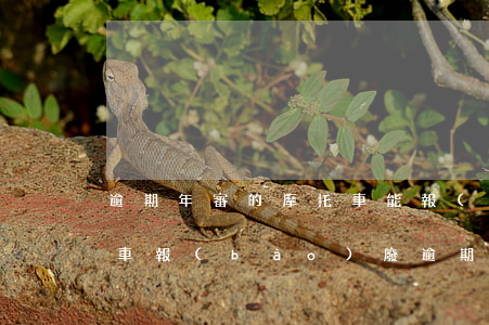逾期年審的摩托車能報(bào)廢嗎(摩托車報(bào)廢逾期要罰款嗎)