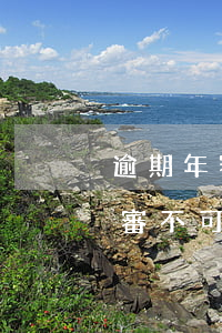 逾期年審能否再12123上處理-逾期年審不可以在12123領(lǐng)取了嗎?