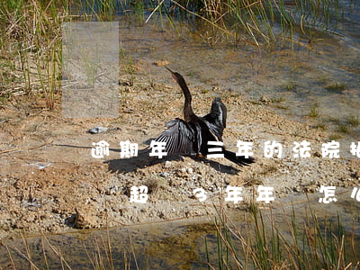 逾期年檢三年的法院拍賣車能過戶 法院拍賣車超過3年年檢怎么辦