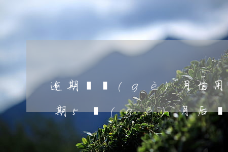 逾期幾個(gè)月信用卡還清了(信用卡逾期5個(gè)月后還清)