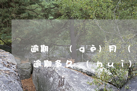 逾期幾個(gè)月會(huì)成黑名單(逾期多久會(huì)列入黑名單)