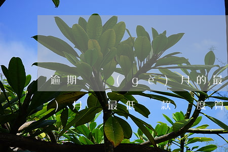 逾期幾個(gè)月的最低還款(每個(gè)月還最低還款額度算逾期嗎)