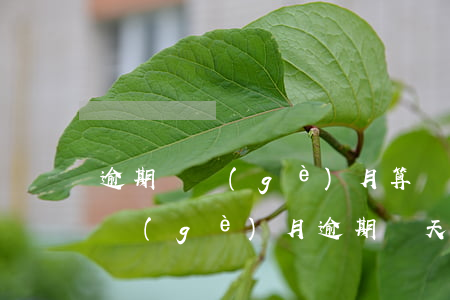 逾期幾個(gè)月算嚴(yán)重嗎(每個(gè)月逾期幾天算是嚴(yán)重逾期嗎)