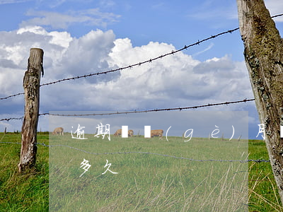 逾期幾個(gè)月還款可以(還款可以逾期多久)