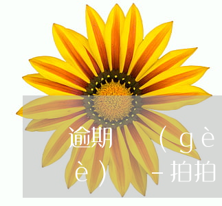 逾期幾個(gè)貸拍拍貸放在第幾個(gè)還-拍拍貸逾期了幾天還上后,還可以再貸款嗎?