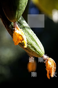 逾期幾個月內(nèi)不能貸款嗎(一般逾期幾次不能貸款呢)