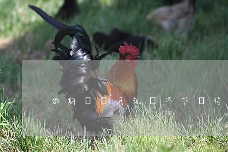 逾期幾個月就辦不下來信用卡嗎