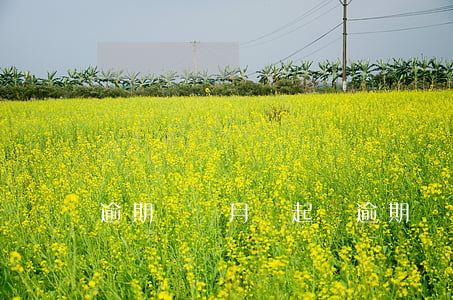 逾期幾個月會起訴（逾期兩個月會寄起訴函嗎）