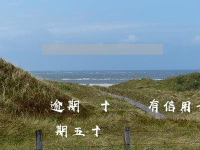 逾期幾十萬還有信用卡能用(十幾張信用卡逾期五十萬)