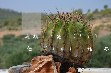 逾期幾千他會(huì)起訴你嗎(逾期幾千他會(huì)起訴你嗎)
