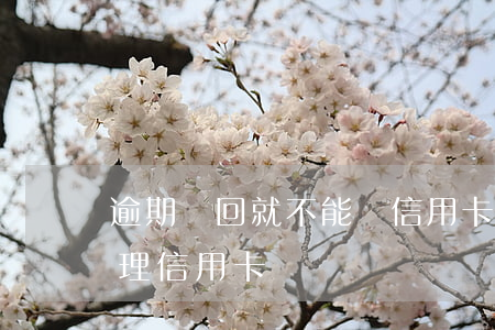 逾期幾回就不能辦信用卡了(逾期幾次不能辦理信用卡)