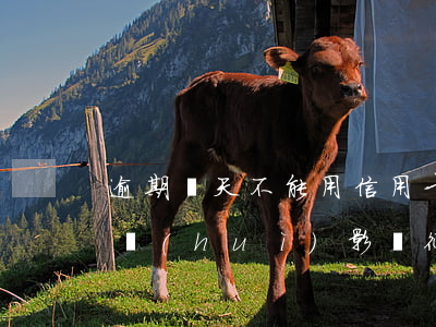 逾期幾天不能用信用卡了(逾期幾天還信用卡會(huì)影響征信嗎)