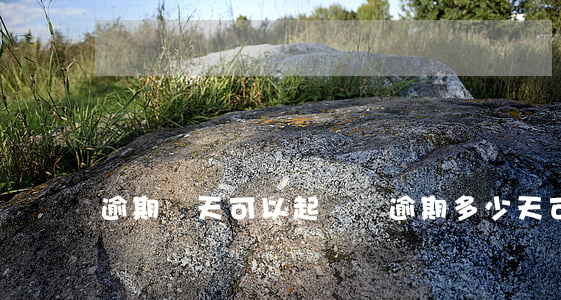 逾期幾天可以起訴嗎(逾期多少天可以立案)