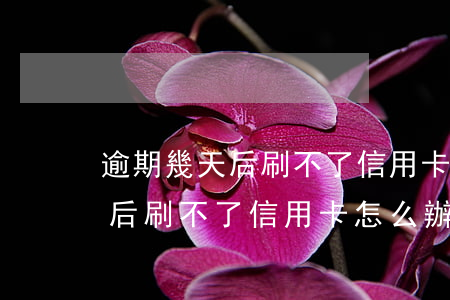 逾期幾天后刷不了信用卡怎么辦-逾期幾天后刷不了信用卡怎么辦呢