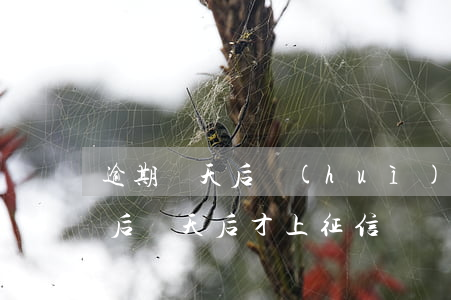 逾期幾天后會(huì)上征信（信用卡逾期后幾天后才上征信）