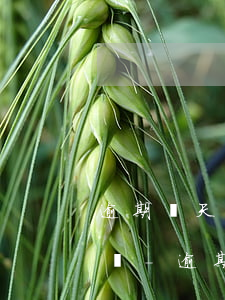 逾期幾天后有錢(qián)可以還一部分嗎-逾期幾天還進(jìn)去還可以拿出來(lái)嗎