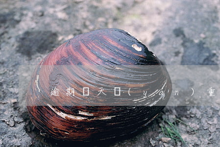 逾期幾天嚴(yán)重