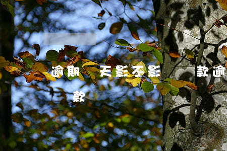 逾期幾天影不影響貸款(逾期兩天會不會影響貸款)