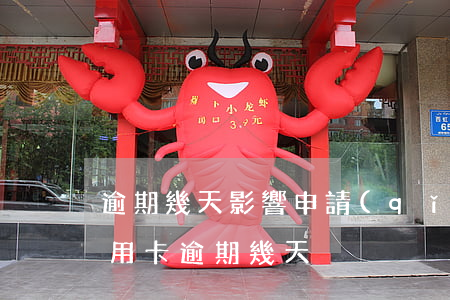 逾期幾天影響申請(qǐng)信用卡嗎(信用卡 逾期 幾天)