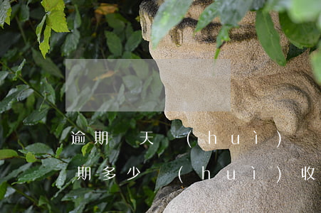 逾期幾天會(huì)發(fā)律師函 逾期多少會(huì)收到律師函