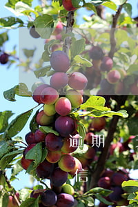 逾期幾天會上傳征信記錄（逾期幾天會上傳征信）