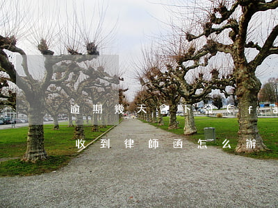 逾期幾天會下發(fā)律師函(逾期四個月收到律師函怎么辦)
