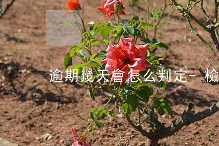 逾期幾天會怎么判定-檢測逾期幾天算逾期