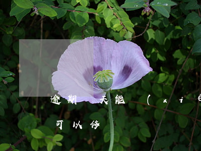 逾期幾天能協(xié)商分期嗎(逾期幾天可以修復嗎)