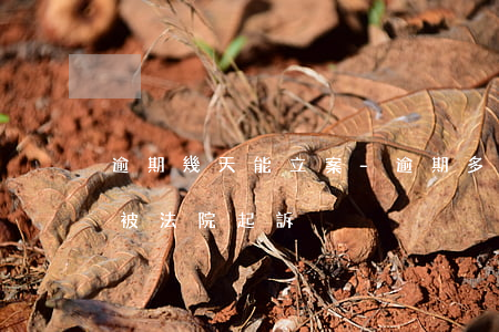 逾期幾天能立案-逾期多少天會(huì)被法院起訴