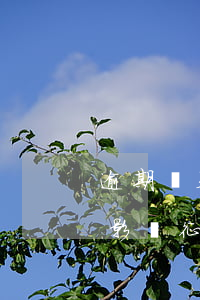 逾期幾天還信用卡劃算(逾期幾天還信用卡會影響征信嗎)