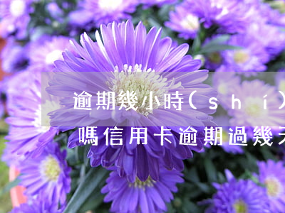 逾期幾小時(shí)會(huì)上征信嗎（信用卡逾期過幾天上征信嗎）
