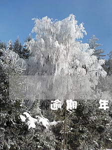 逾期幾年才起訴(逾期幾年會被起訴)