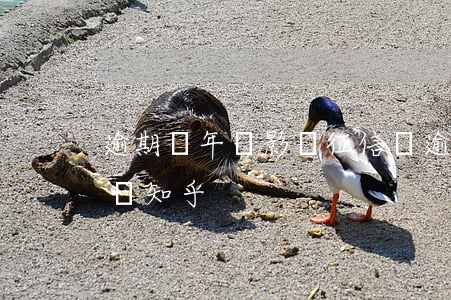 逾期幾年會影響征信嗎 逾期幾年會影響征信嗎知乎