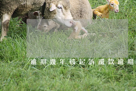 逾期幾年被起訴還款(逾期幾年會被起訴)