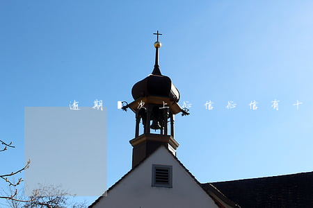 逾期幾次上征信(征信有十幾次逾期)